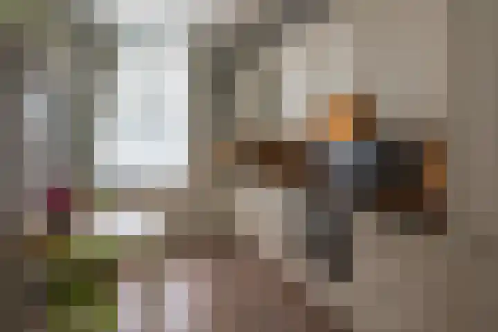 Cantharel 52 Alphen aan den Rijn thumbnail 17