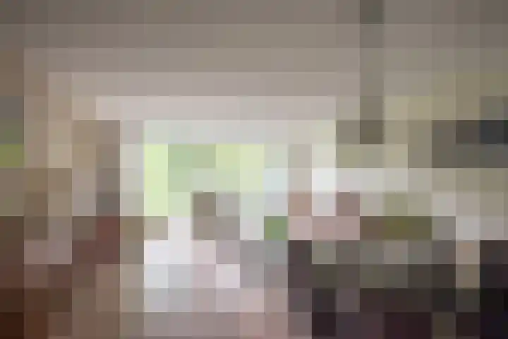Cantharel 52 Alphen aan den Rijn thumbnail 19