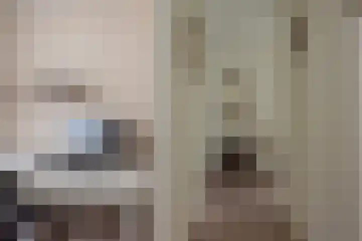 Cantharel 52 Alphen aan den Rijn thumbnail 23