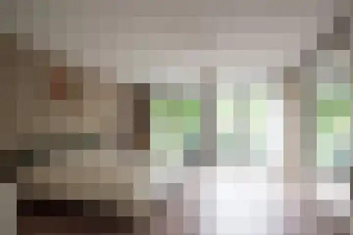 Cantharel 52 Alphen aan den Rijn thumbnail 26