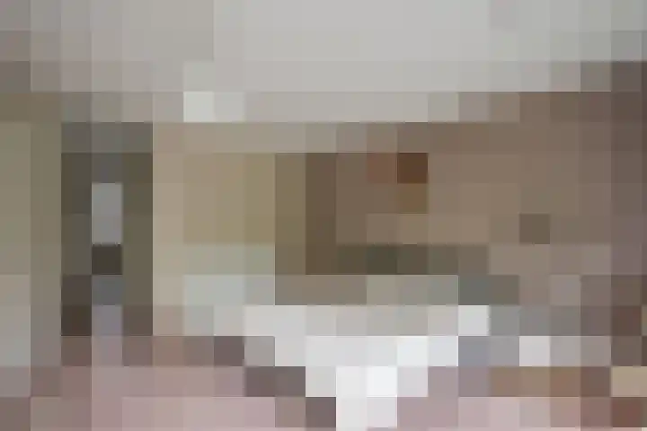 Cantharel 52 Alphen aan den Rijn thumbnail 27