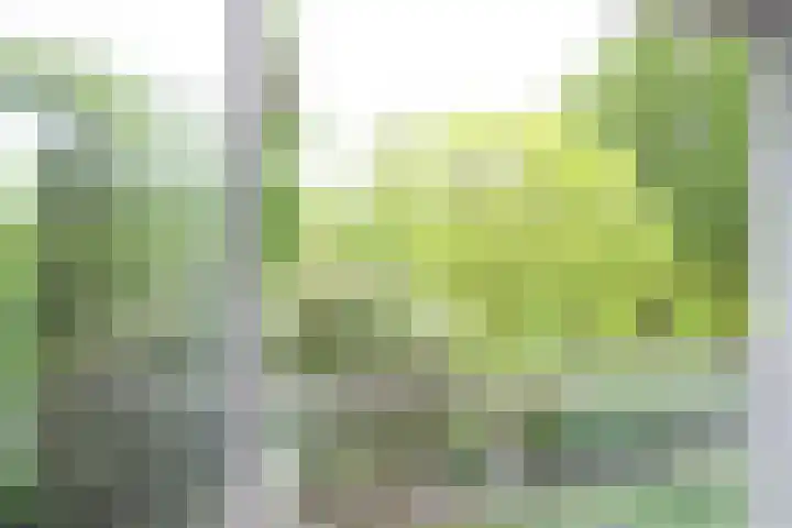 Cantharel 52 Alphen aan den Rijn thumbnail 28