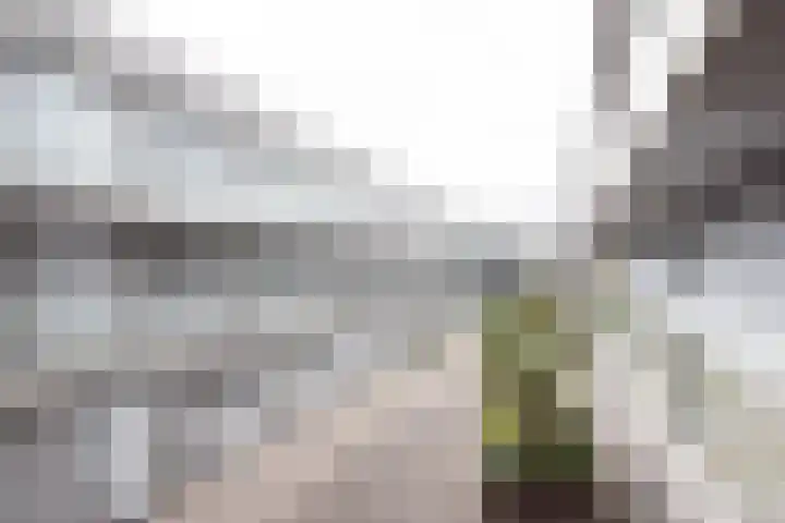 Cantharel 52 Alphen aan den Rijn thumbnail 30