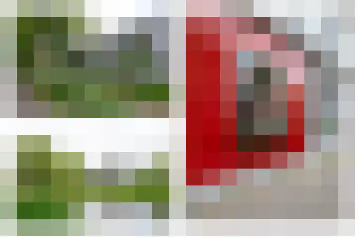 Cantharel 52 Alphen aan den Rijn thumbnail 33
