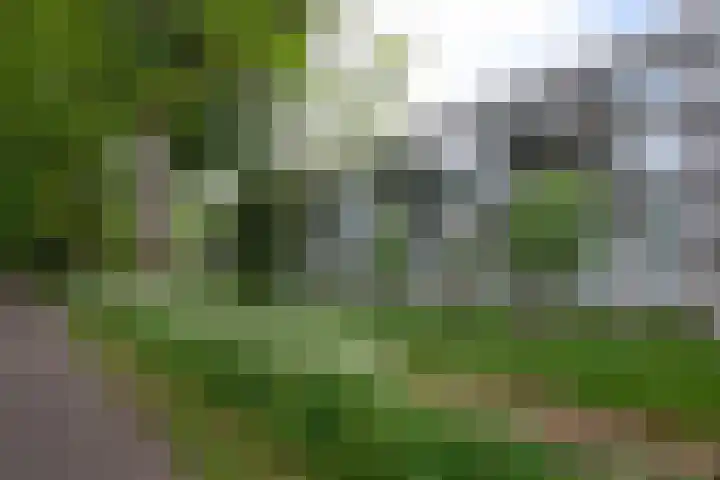 Cantharel 52 Alphen aan den Rijn thumbnail 34