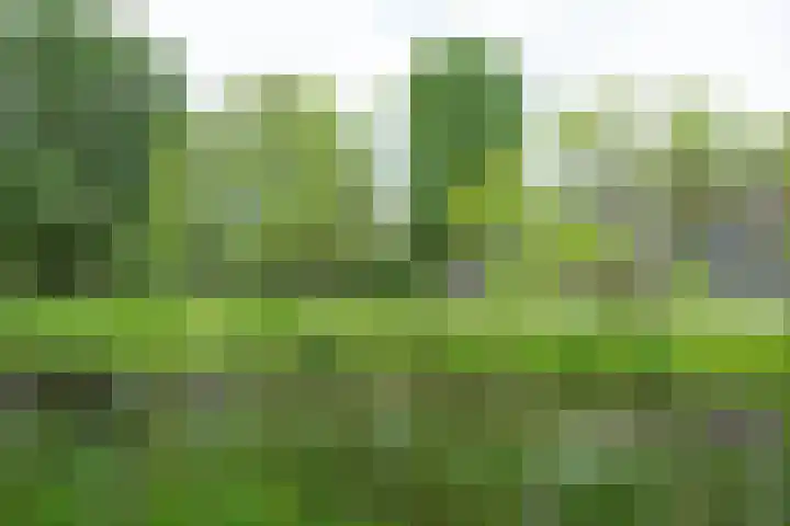 Cantharel 52 Alphen aan den Rijn thumbnail 35