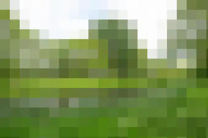 Cantharel 52 Alphen aan den Rijn thumbnail 36