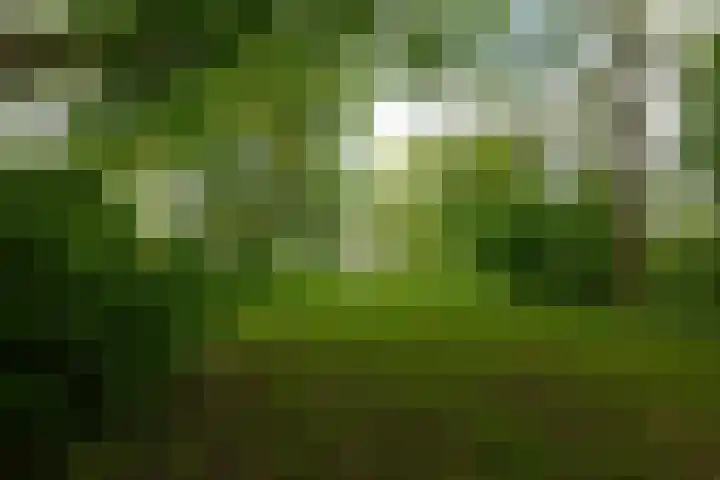 Cantharel 52 Alphen aan den Rijn thumbnail 37