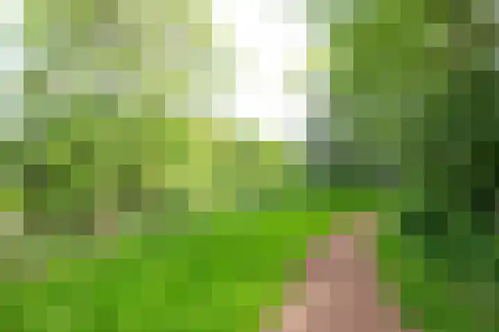 Cantharel 52 Alphen aan den Rijn thumbnail 38