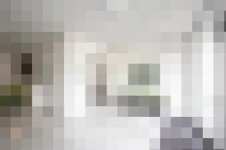 Cantharel 52 Alphen aan den Rijn thumbnail 4