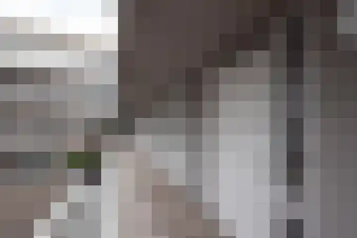 Cantharel 52 Alphen aan den Rijn thumbnail 5