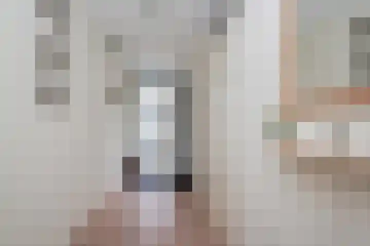 Cantharel 52 Alphen aan den Rijn thumbnail 6