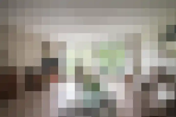 Cantharel 52 Alphen aan den Rijn thumbnail 9