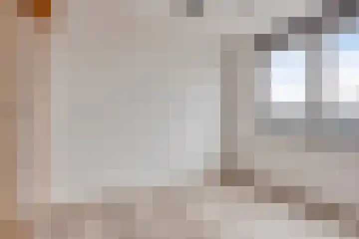 Cantharel 60 Alphen aan den Rijn thumbnail 10