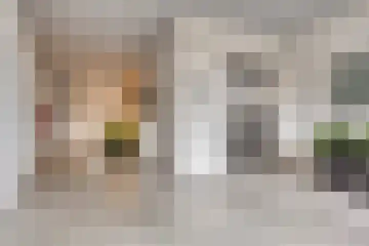 Cantharel 60 Alphen aan den Rijn thumbnail 16