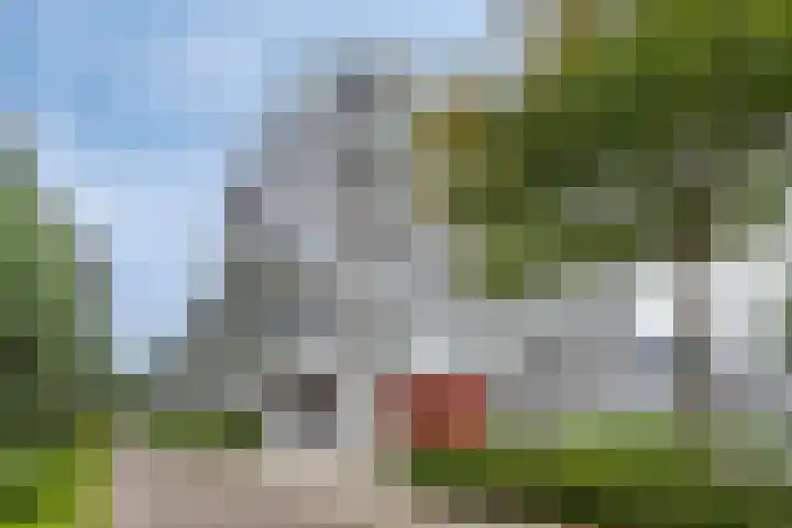 Cantharel 60 Alphen aan den Rijn thumbnail 22