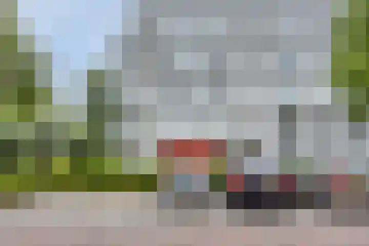 Cantharel 60 Alphen aan den Rijn thumbnail 23