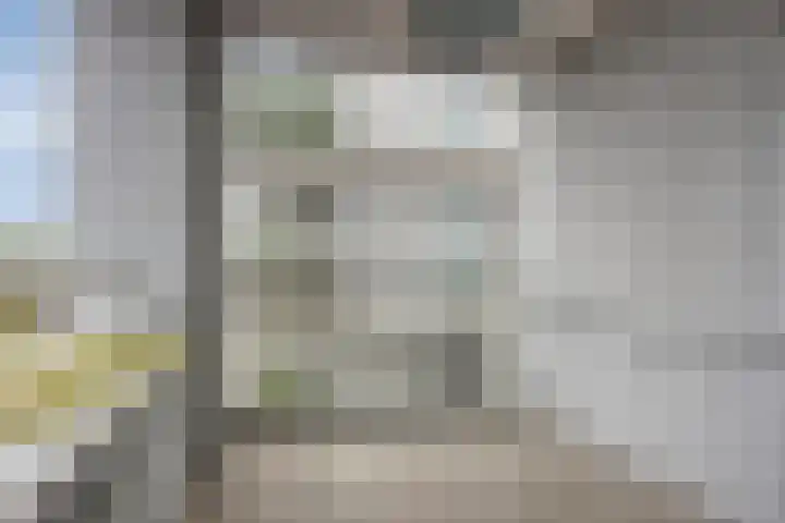 Cantharel 60 Alphen aan den Rijn thumbnail 6
