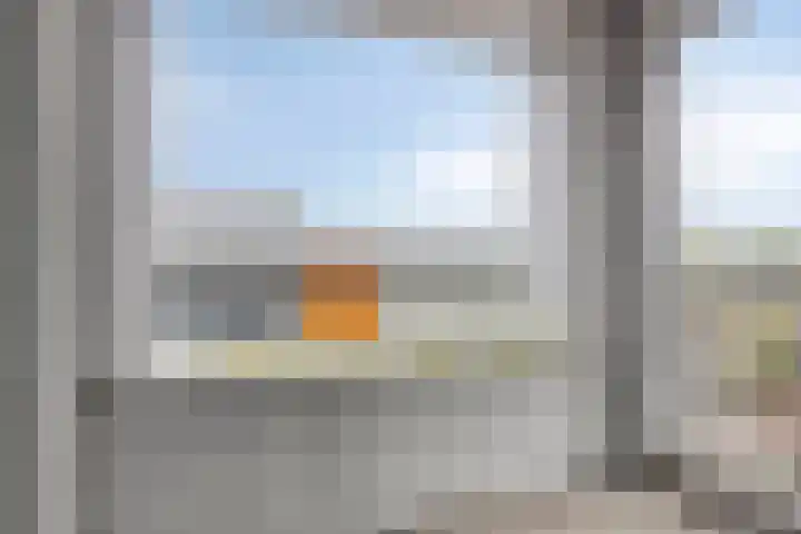 Cantharel 60 Alphen aan den Rijn thumbnail 7