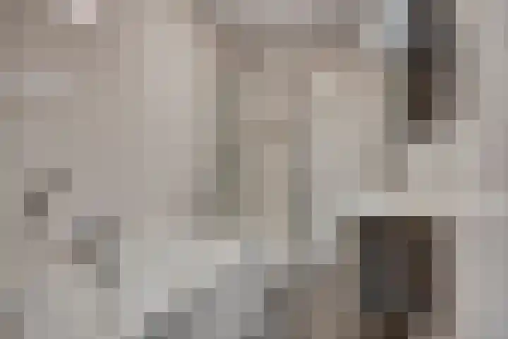 Cantharel 60 Alphen aan den Rijn thumbnail 9