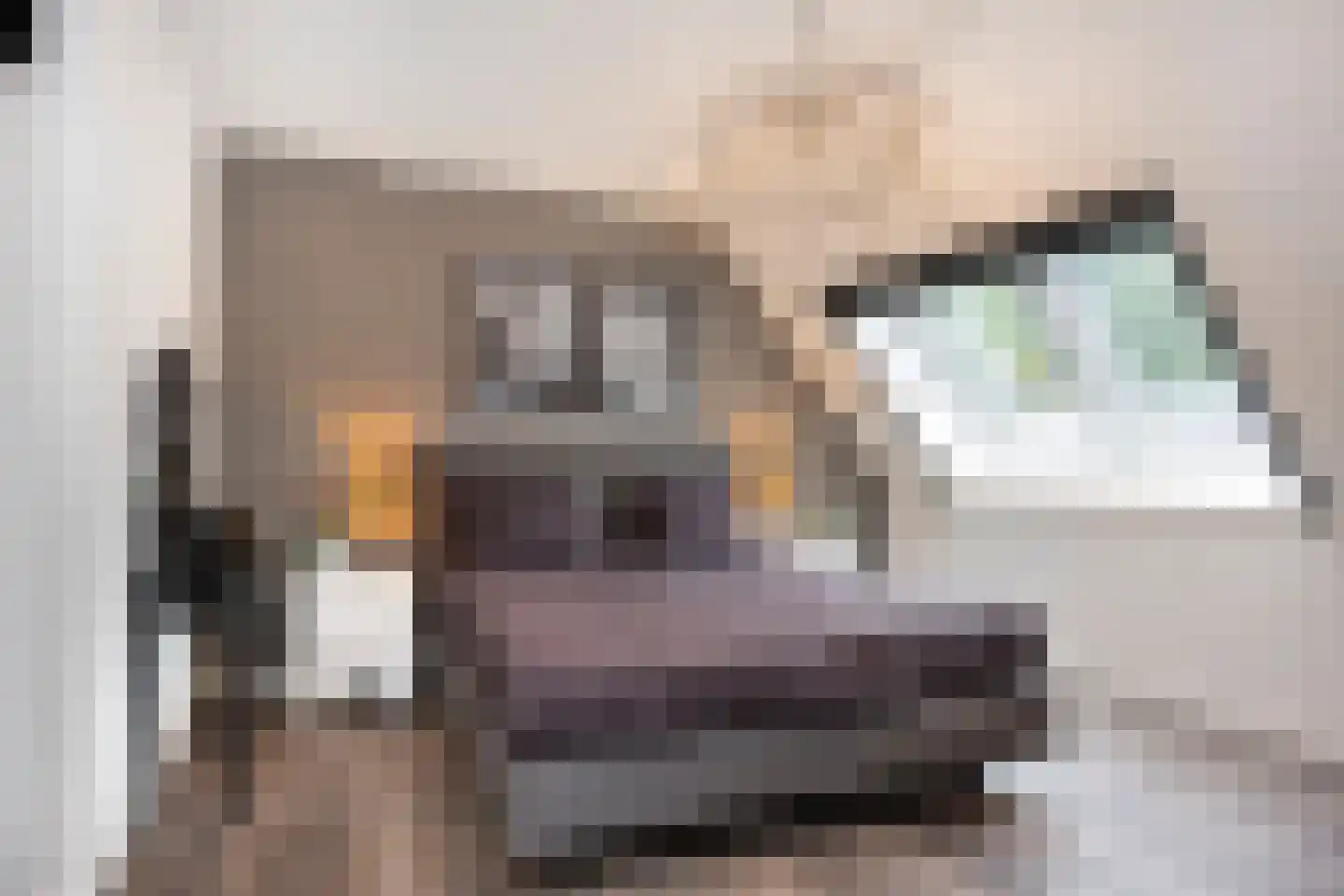 Cantharel 7 Hengelo thumbnail 18