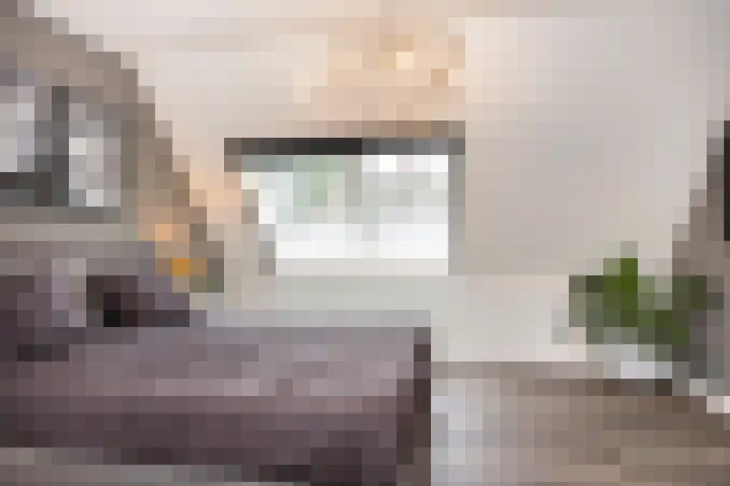 Cantharel 7 Hengelo thumbnail 19