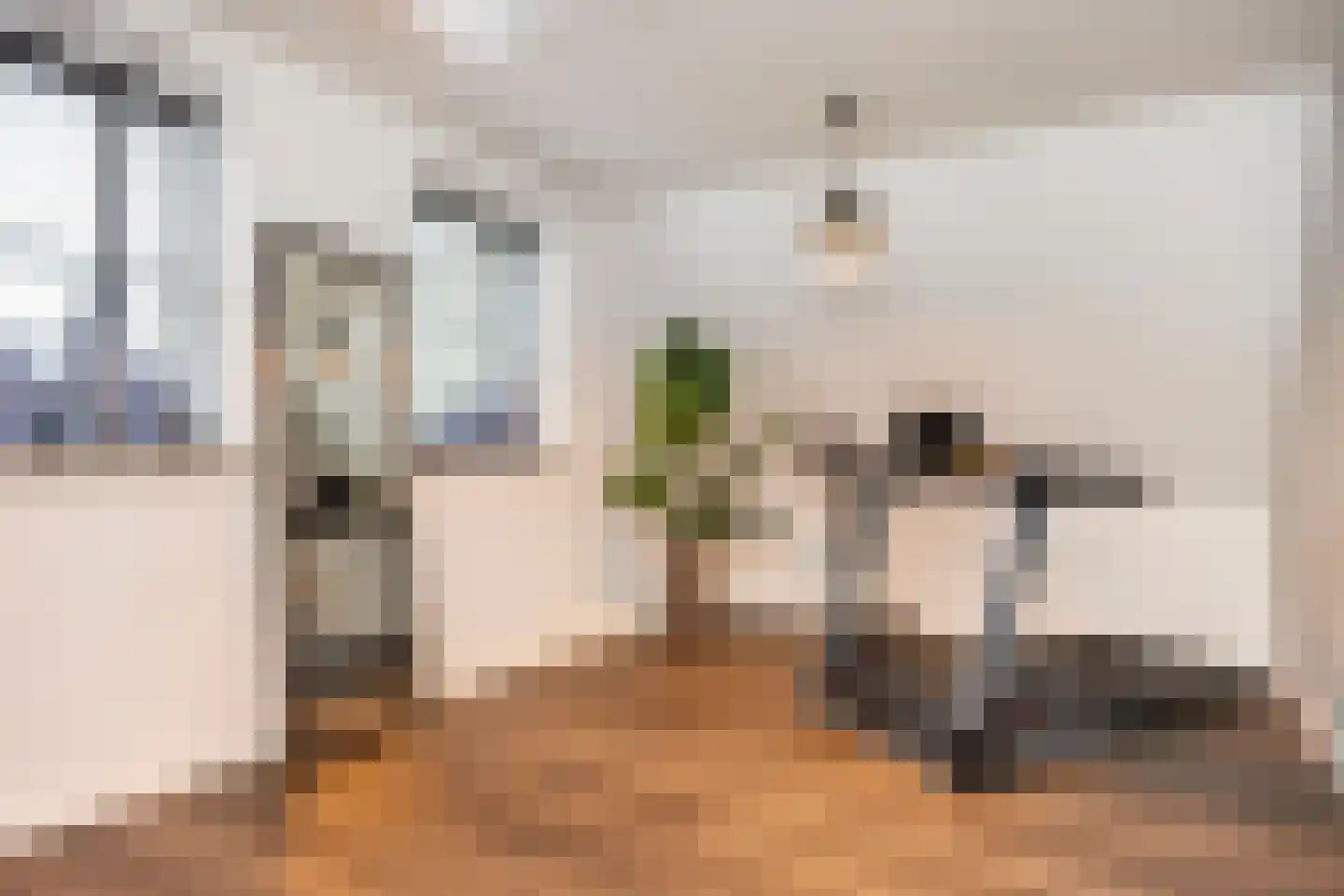 Cantharel 7 Hengelo thumbnail 23