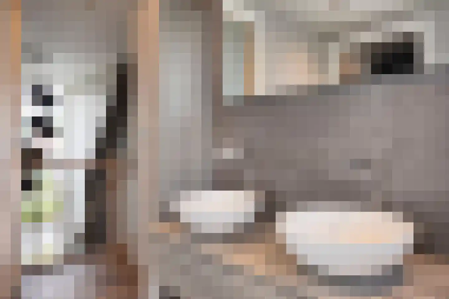 Cantharel 7 Hengelo thumbnail 25