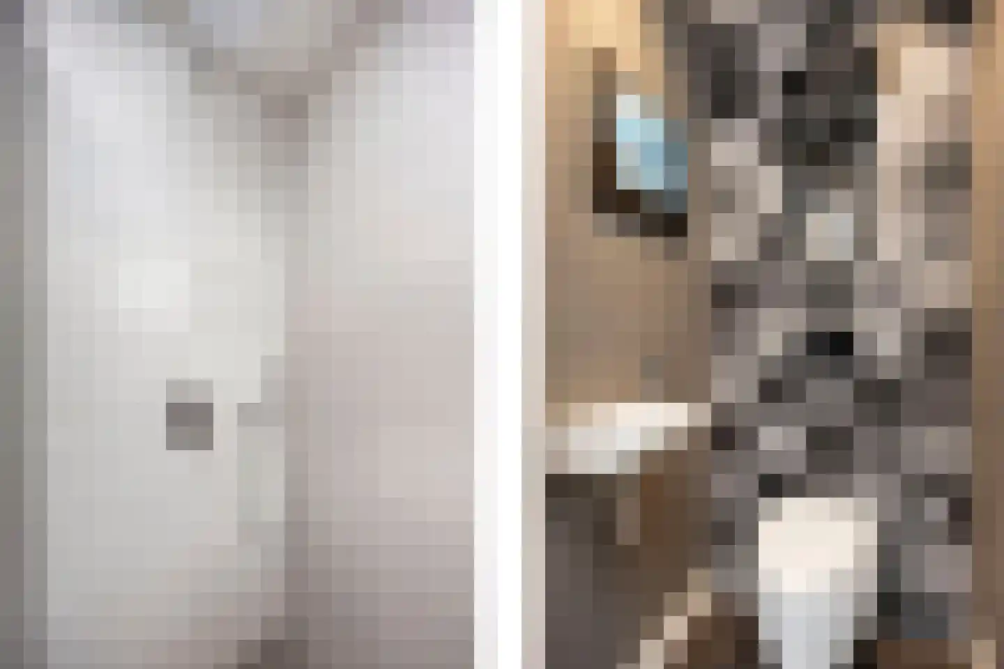 Cantharel 7 Hengelo thumbnail 26