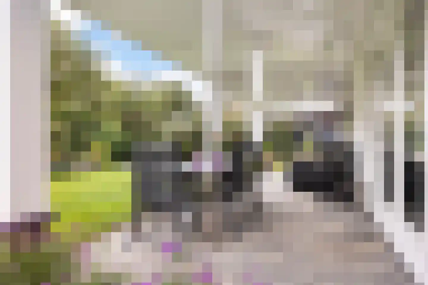 Cantharel 7 Hengelo thumbnail 35