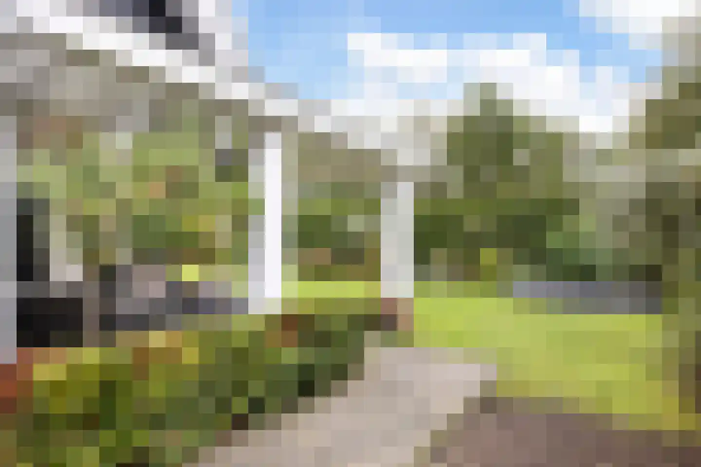 Cantharel 7 Hengelo thumbnail 39