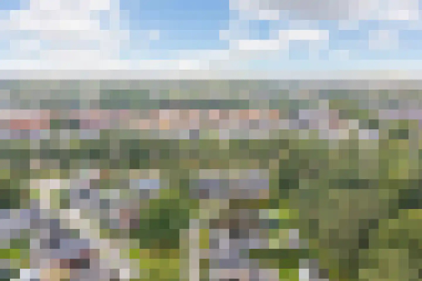 Cantharel 7 Hengelo thumbnail 47