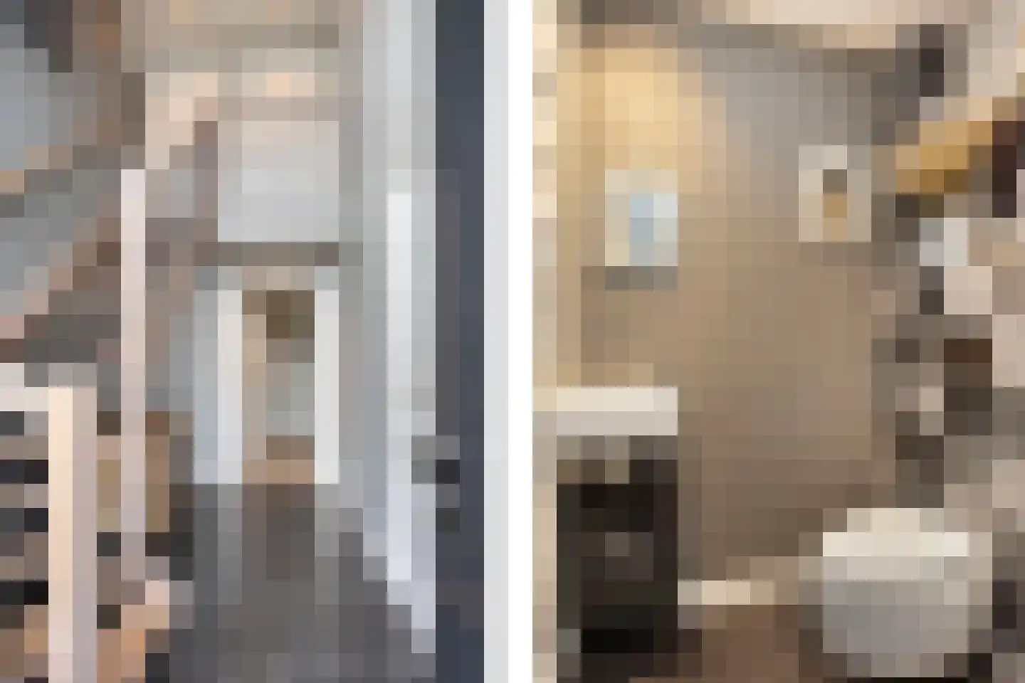 Cantharel 7 Hengelo thumbnail 6