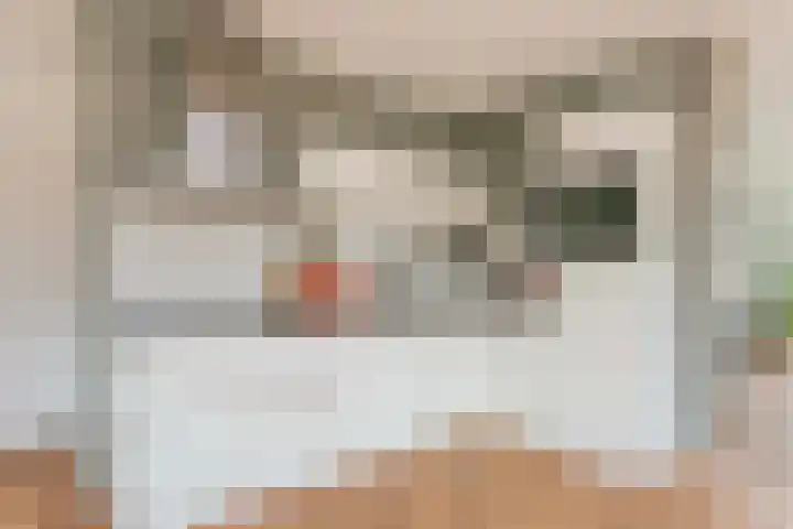 Cantharellaan 21 Vleuten thumbnail 10