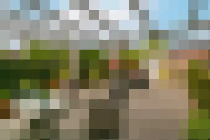 Cantharellaan 21 Vleuten thumbnail 13