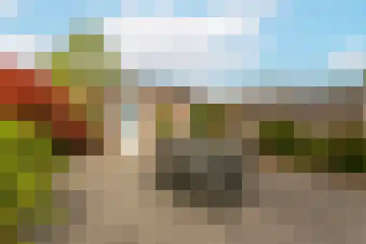 Cantharellaan 21 Vleuten thumbnail 15