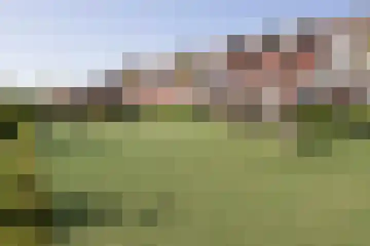 Cantharellaan 21 Vleuten thumbnail 33
