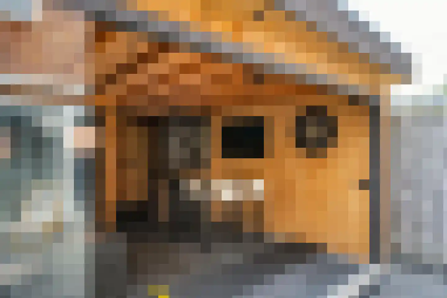 Cantharellaan 25 Vleuten thumbnail 10