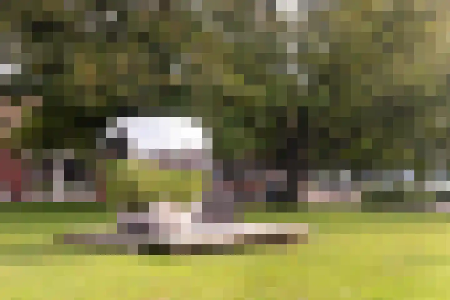Cantharellaan 25 Vleuten thumbnail 37