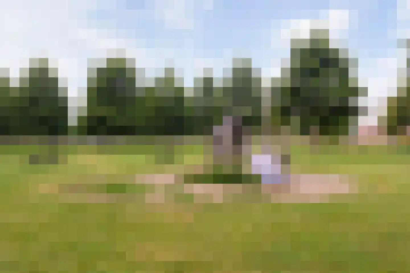 Cantharellaan 25 Vleuten thumbnail 38