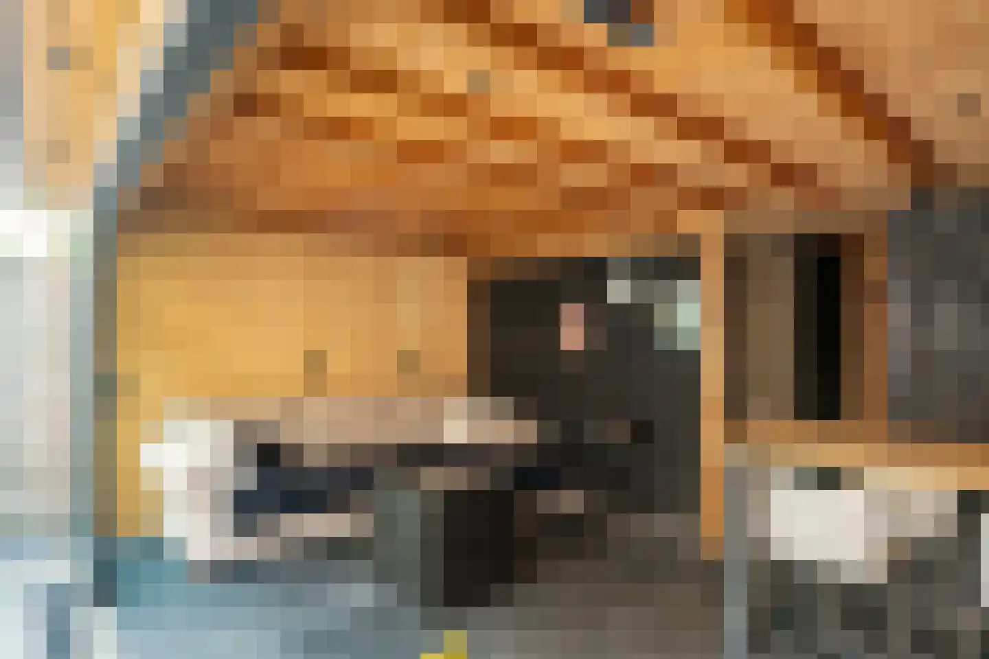 Cantharellaan 25 Vleuten thumbnail 9