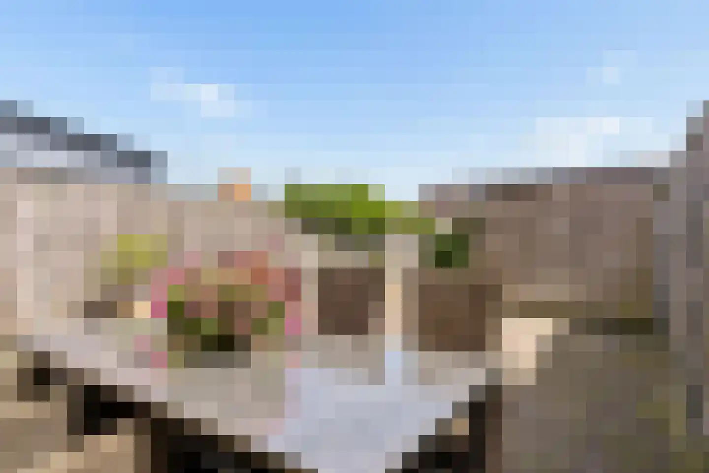 Cantharellaan 37 Vleuten thumbnail 16