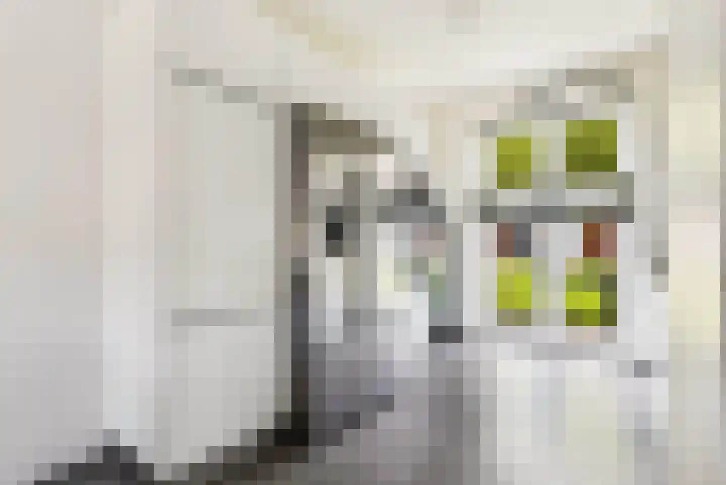 Cantharellaan 37 Vleuten thumbnail 22