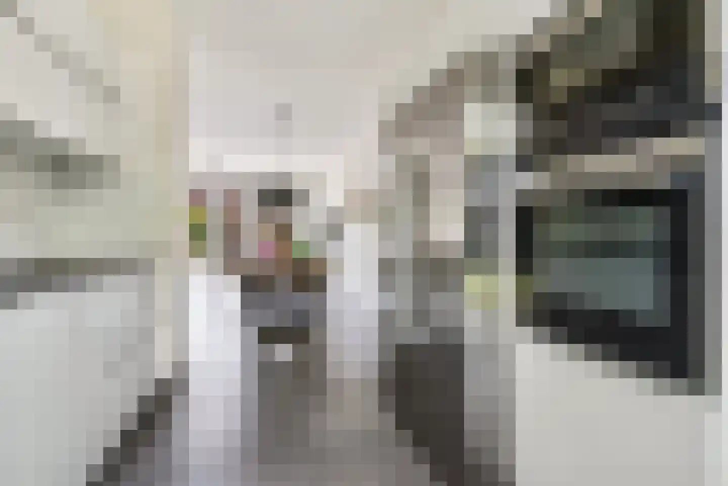 Cantharellaan 37 Vleuten thumbnail 23