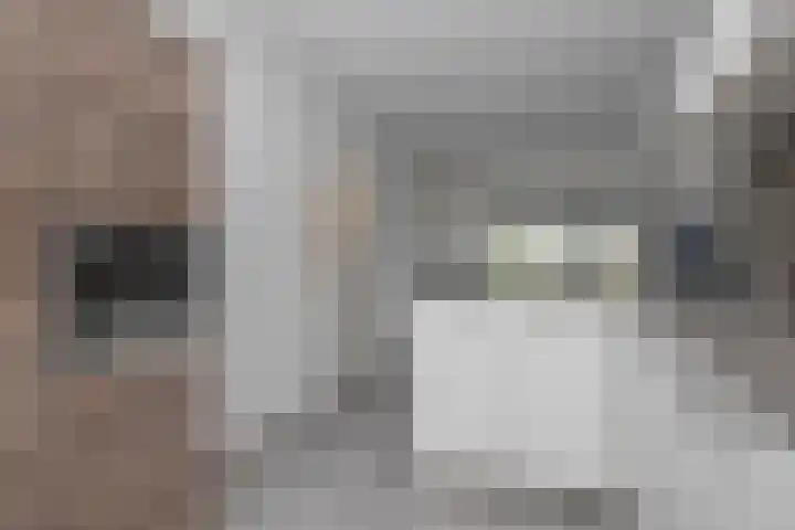 Cantharellaan 60 Vleuten thumbnail 12