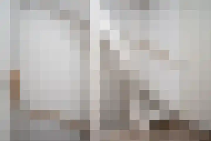 Cantharellaan 60 Vleuten thumbnail 17