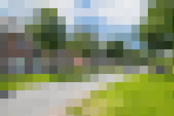 Cantharellaan 60 Vleuten thumbnail 36