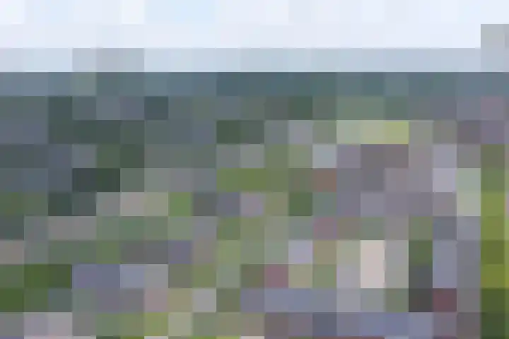 Cantharellaan 60 Vleuten thumbnail 39