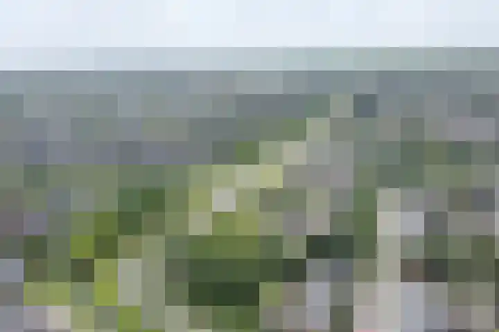 Cantharellaan 60 Vleuten thumbnail 40