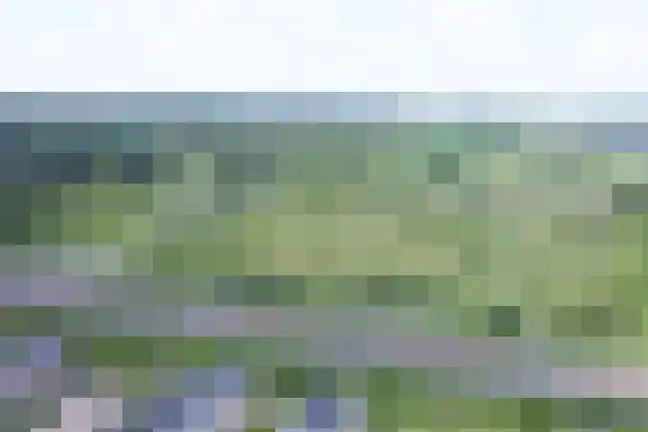 Cantharellaan 60 Vleuten thumbnail 41